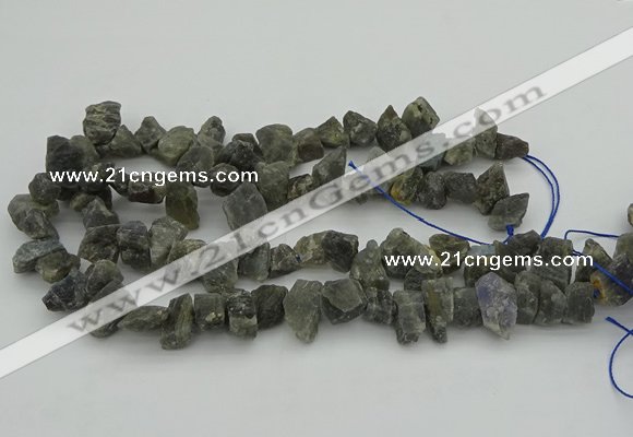 CNG1159 15.5 inches 8*12mm - 13*18mm nuggets labradorite beads
