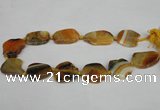 CNG1201 15.5 inches 20*30mm - 25*35mm freeform agate beads