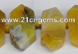 CNG1392 15.5 inches 15*25mm - 20*40mm wand agate gemstone beads