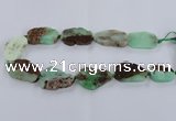 CNG1655 15.5 inches 20*30mm - 30*35mm freeform australia chrysoprase beads