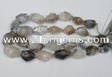 CNG1712 15.5 inches 15*20mm - 20*30mm nuggets botswana agate beads