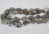 CNG1715 15.5 inches 15*20mm - 20*30mm nuggets labradorite beads