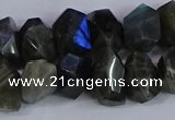 CNG2830 15.5 inches 10*14mm - 13*18mm faceted nuggets labradorite beads