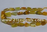 CNG2900 15.5 inches 12*16mm - 15*25mm freeform agate beads