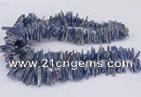 CNG3382 15.5 inches 3*15mm - 5*30mm sticks blue kyanite beads