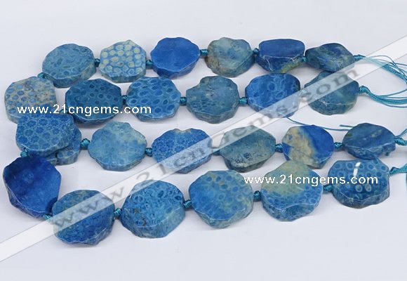 CNG3485 20*25mm - 30*35mm freeform chrysanthemum agate beads