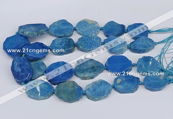 CNG3486 30*35mm - 35*45mm freeform chrysanthemum agate beads