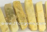 CNG3631 15.5 inches 5*30mm - 8*35mm sticks druzy agate beads