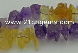 CNG5045 15.5 inches 4*8mm - 6*15mm nuggets amethyst & citrine beads