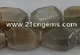 CNG5089 15.5 inches 13*18mm - 15*25mm faceted nuggets sunstone beads