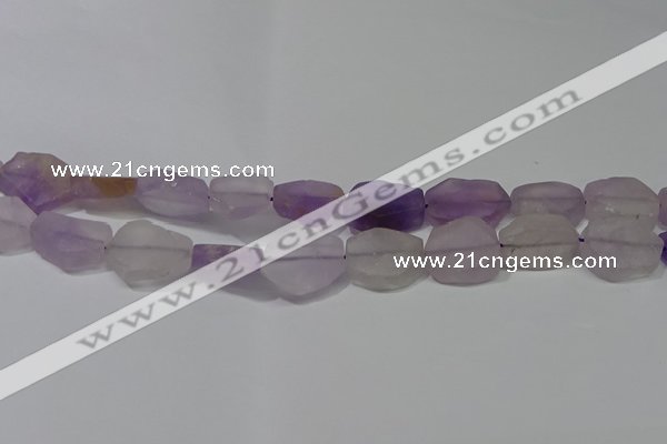 CNG5117 15.5 inches 14*20mm - 18*25mm freeform matte amethyst beads