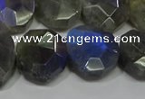 CNG5144 15.5 inches 15*18mm - 15*20mm faceted freeform labradorite beads