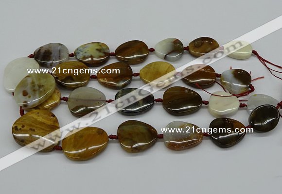 CNG5158 15.5 inches 16*22mm - 30*35mm freeform Mexican agate beads