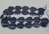 CNG5164 15.5 inches 16*22mm - 30*35mm freeform blue dumortierite beads