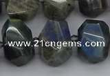 CNG5222 15.5 inches 12*16mm - 15*20mm faceted nuggets labradorite beads