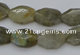 CNG5253 15.5 inches 13*18mm - 15*20mm faceted freeform labradorite beads