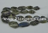 CNG5255 15.5 inches 22*30mm - 35*45mm faceted freeform labradorite beads