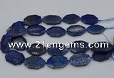 CNG5258 15.5 inches 20*30mm - 25*35mm faceted freeform lapis lzuli beads