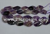 CNG5264 20*30mm - 22*35mm faceted freeform dogtooth amethyst beads