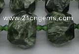 CNG5278 15.5 inches 13*18mm - 15*25mm faceted nuggets seraphinite beads