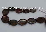 CNG5313 15.5 inches 20*30mm - 35*45mm freeform orange garnet beads