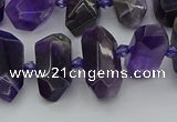 CNG5365 15.5 inches 12*16mm - 15*25mm faceted nuggets amethyst beads