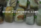 CNG5379 15.5 inches 10*14mm - 13*18mm nuggets amazonite beads