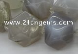 CNG5391 15.5 inches 10*14mm - 20*25mm faceted nuggets agate beads