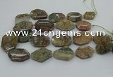 CNG5406 20*30mm - 35*45mm faceted freeform ghost gemstone beads