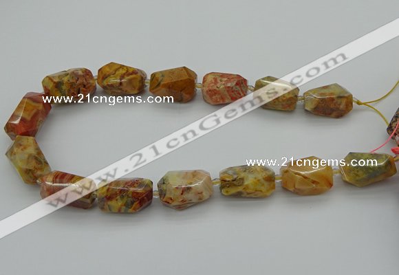 CNG5422 12*16mm - 15*25mm faceted nuggets crazy lace agate beads