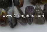 CNG5431 12*16mm - 20*28mm nuggets botswana agate gemstone beads