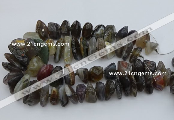 CNG5431 12*16mm - 20*28mm nuggets botswana agate gemstone beads