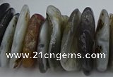 CNG5432 5*20mm - 8*25mm nuggets botswana agate gemstone beads