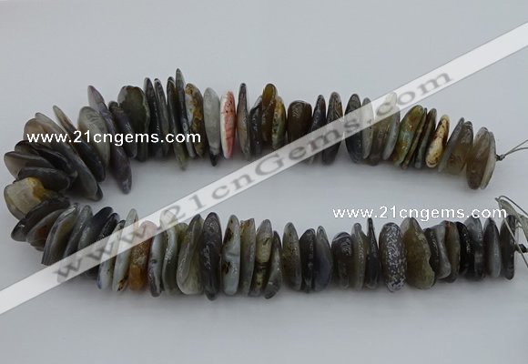 CNG5432 5*20mm - 8*25mm nuggets botswana agate gemstone beads