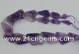 CNG5435 15*25mm - 30*45mm freeform amethyst gemstone beads