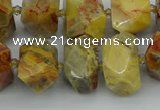 CNG5436 12*16mm - 15*20mm faceted nuggets crazy lace agate beads