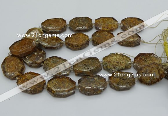 CNG5454 15.5 inches 20*30mm - 35*45mm faceted freeform opal beads