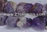 CNG5532 15.5 inches 10*14mm - 12*16mm nuggets dogtooth amethyst beads