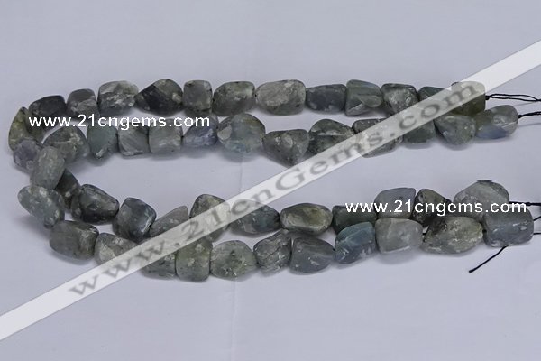 CNG5539 15.5 inches 10*14mm - 12*16mm nuggets labradorite beads