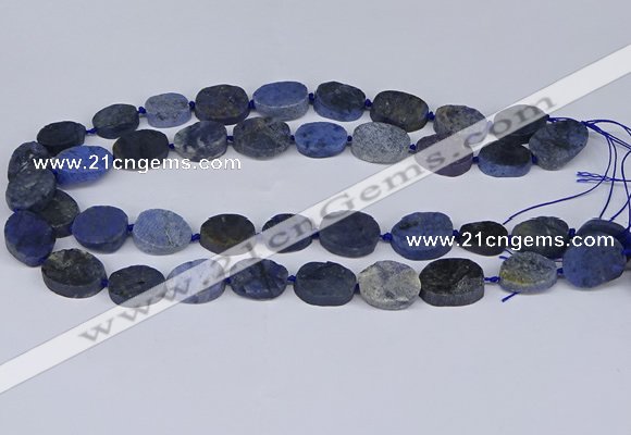 CNG5564 15.5 inches 12*16mm - 18*22mm freeform blue dumortierite beads