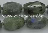 CNG5586 12*16mm - 15*25mm faceted nuggets labradorite beads