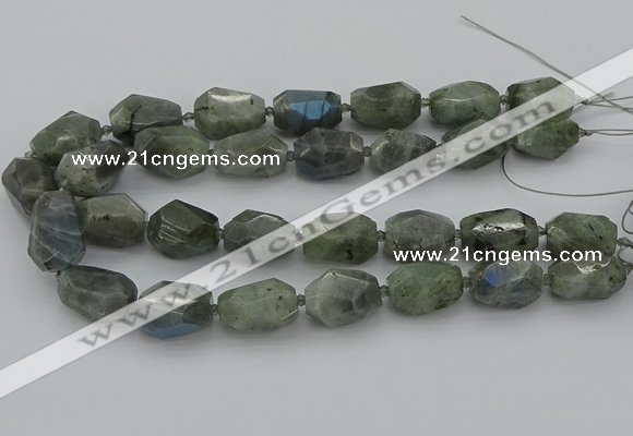 CNG5586 12*16mm - 15*25mm faceted nuggets labradorite beads