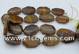 CNG5597 20*30mm - 35*45mm faceted freeform tiger iron beads