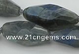 CNG5643 15.5 inches 15*35mm - 18*40mm faceted rice labradorite beads