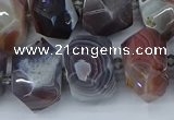 CNG5680 12*16mm - 15*20mm faceted nuggets botswana agate beads