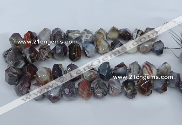 CNG5680 12*16mm - 15*20mm faceted nuggets botswana agate beads