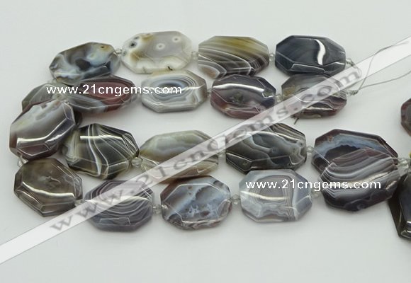 CNG5689 20*30mm - 35*45mm faceted freeform botswana agate beads