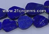 CNG5716 15.5 inches 12*16mm - 15*20mm freeform lapis lazuli beads