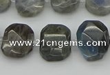 CNG5722 15.5 inches 12*16mm - 15*20mm faceted freeform labradorite beads