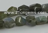 CNG5753 15.5 inches 10*12mm - 12*16mm faceted nuggets labradorite beads